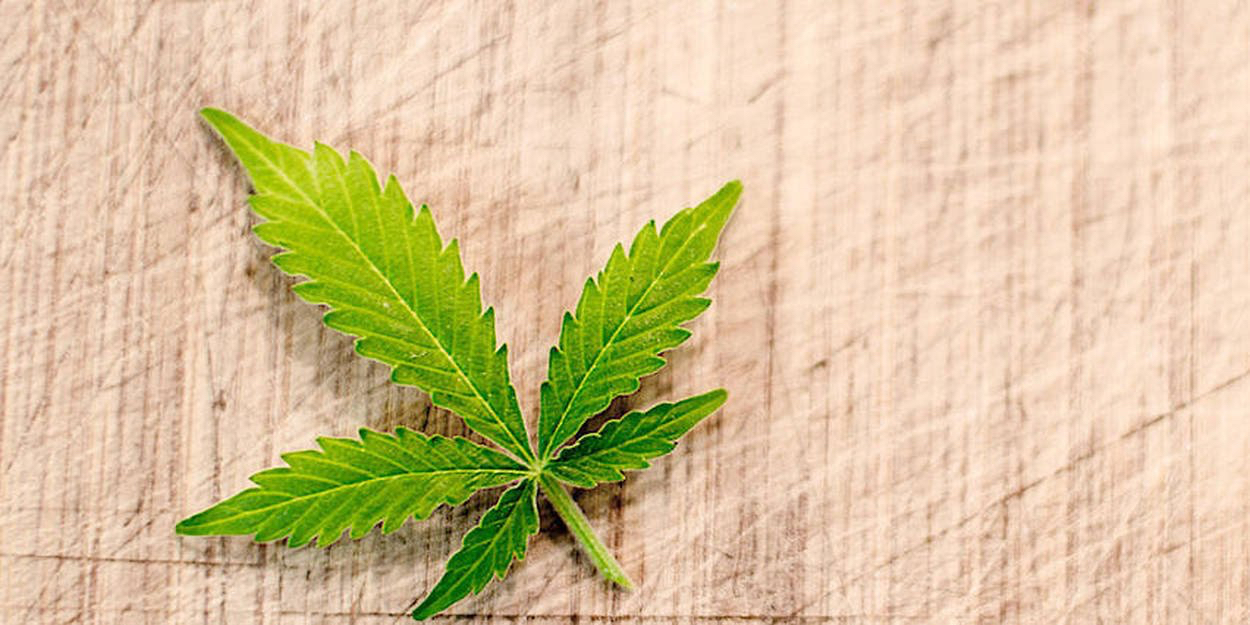 les effets du cannabis sur la conduite dans la vie réelle